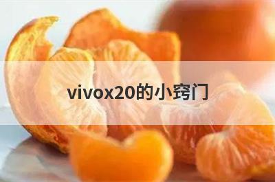 vivox20的小窍门