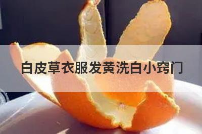 白皮草衣服发黄洗白小窍门