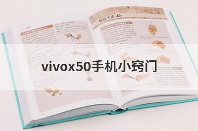 vivox50手机小窍门