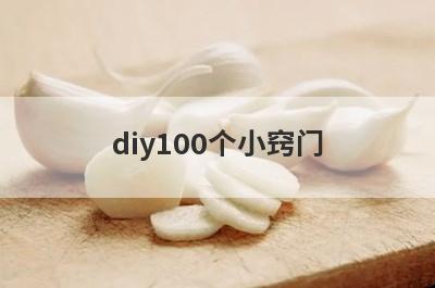 diy100个小窍门