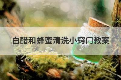 白醋和蜂蜜清洗小窍门教案