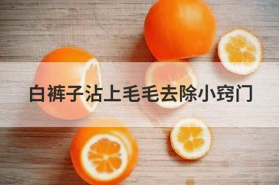 白裤子沾上毛毛去除小窍门