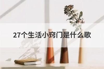 27个生活小窍门是什么歌(27个实用生活小窍门)