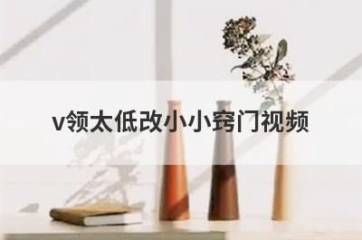 v领太低改小小窍门视频