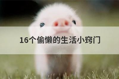 16个偷懒的生活小窍门