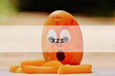 xzs