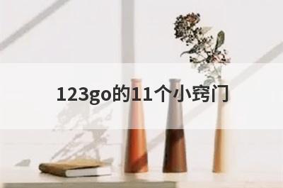 123go的11个小窍门