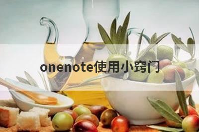 onenote使用小窍门