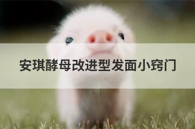 安琪酵母改进型发面小窍门