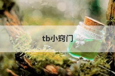 tb小窍门