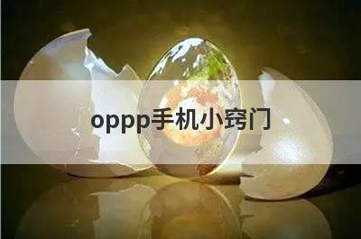 oppp手机小窍门