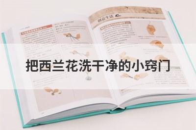 把西兰花洗干净的小窍门