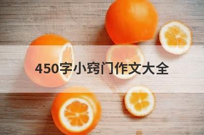 450字小窍门作文大全