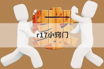 r17小窍门