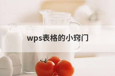 wps表格的小窍门