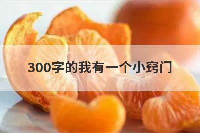 300字的我有一个小窍门