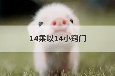 14乘以14小窍门