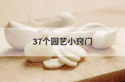 37个园艺小窍门