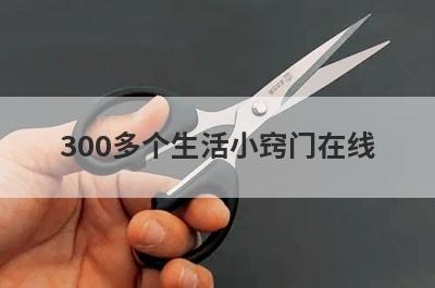 300多个生活小窍门在线