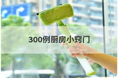 300例厨房小窍门