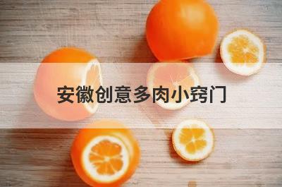 安徽创意多肉小窍门