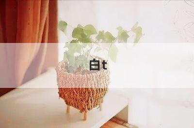 白t 恤油渍小窍门(白衣服怎么清洗油渍小窍门)