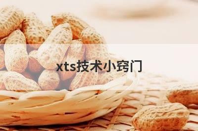 xts技术小窍门