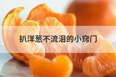 扒洋葱不流泪的小窍门