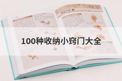 100种收纳小窍门大全