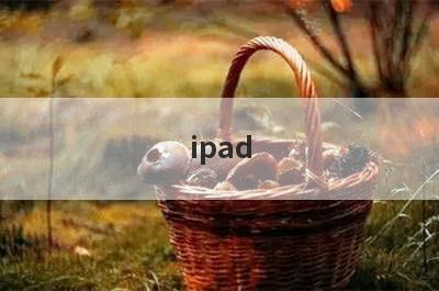 ipad