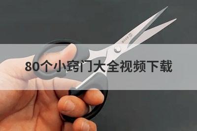 80个小窍门大全视频下载