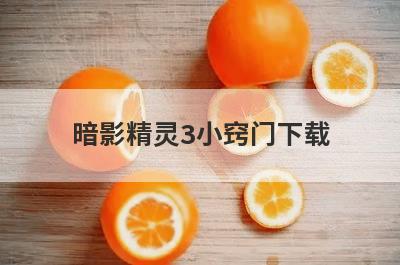 暗影精灵3小窍门下载