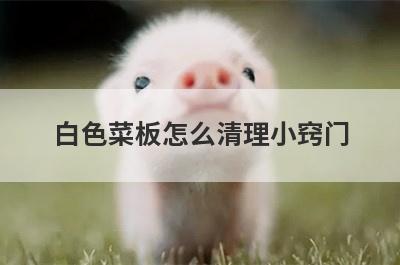 白色菜板怎么清理小窍门