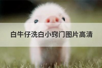 白牛仔洗白小窍门图片高清