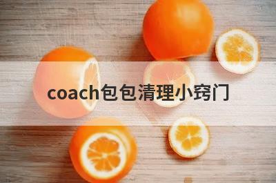 coach包包清理小窍门