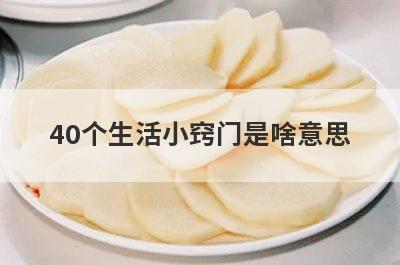 40个生活小窍门是啥意思