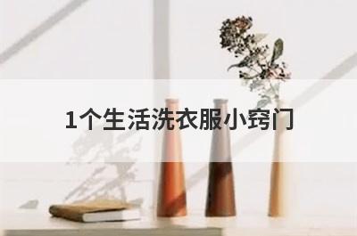1个生活洗衣服小窍门