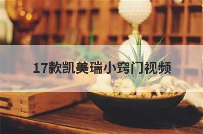 17款凯美瑞小窍门视频
