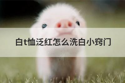 白t恤泛红怎么洗白小窍门