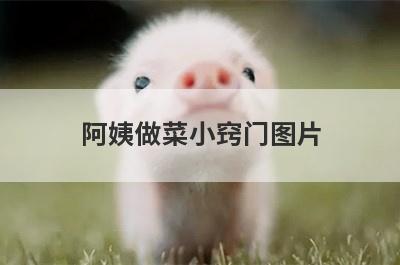 阿姨做菜小窍门图片