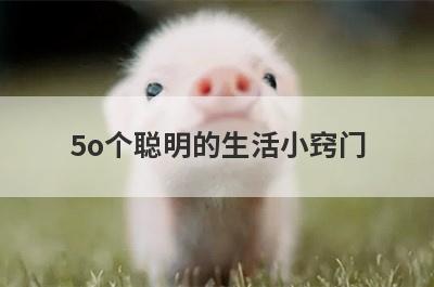 5o个聪明的生活小窍门