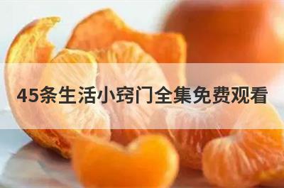 45条生活小窍门全集免费观看