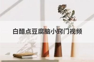 白醋点豆腐脑小窍门视频