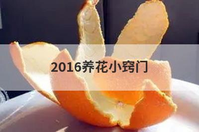 2016养花小窍门