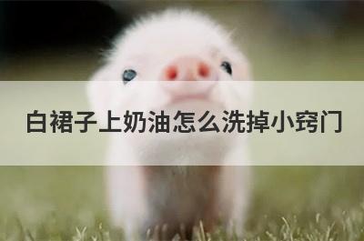 白裙子上奶油怎么洗掉小窍门
