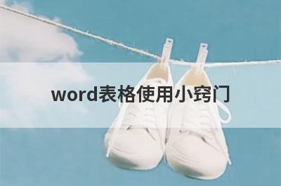 word表格使用小窍门