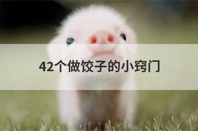 42个做饺子的小窍门