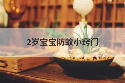 2岁宝宝防蚊小窍门
