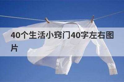 40个生活小窍门40字左右图
片
