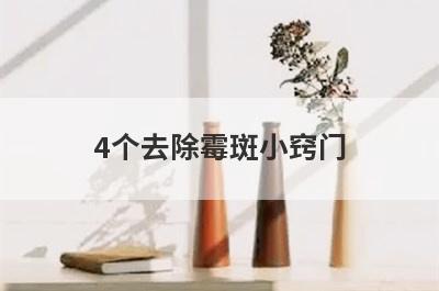 4个去除霉斑小窍门